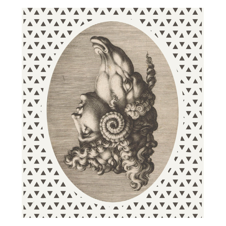 "Aries" curtains set