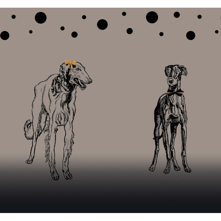 "Charts" curtains set